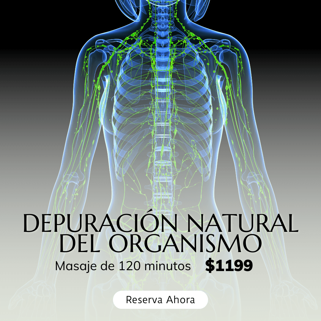 Masaje relajante con drenaje linfático en LuzVert Spa, terapeuta realizando maniobras suaves y lentas para eliminar toxinas y reducir la inflamación corporal.